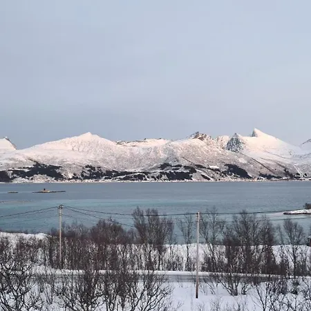 Senjavista, Near Nature, Sea And Mighty Mountains * Skaland