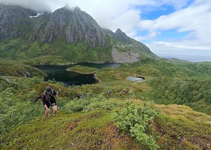 Senjavista, Near Nature, Sea And Mighty Mountains * Skaland
