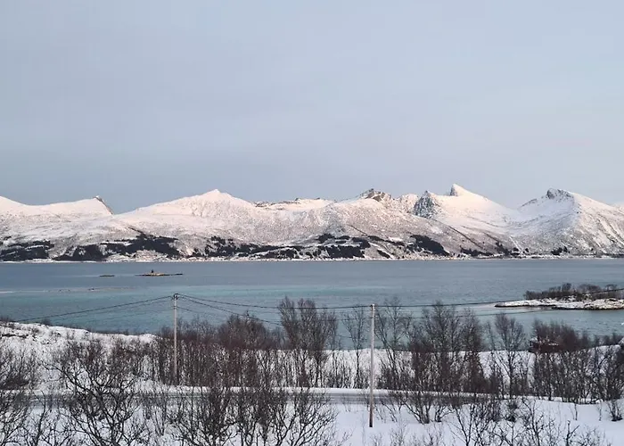 Senjavista, Near Nature, Sea And Mighty Mountains * Skaland