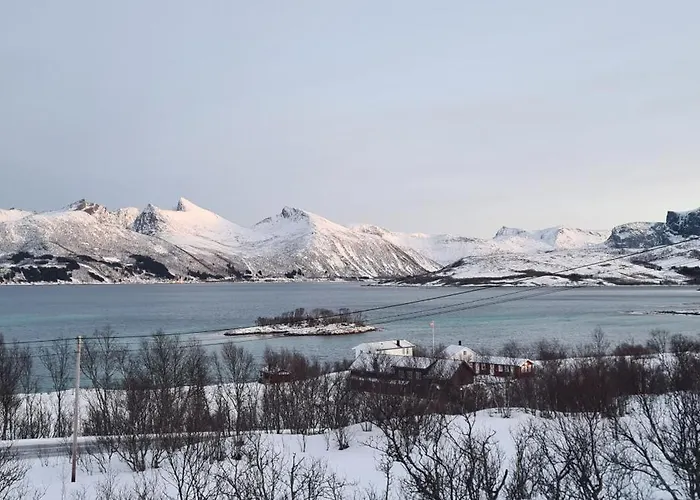 Senjavista, Near Nature, Sea And Mighty Mountains *