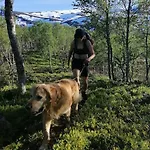 Senjavista, Near Nature, Sea And Mighty Mountains 펜션